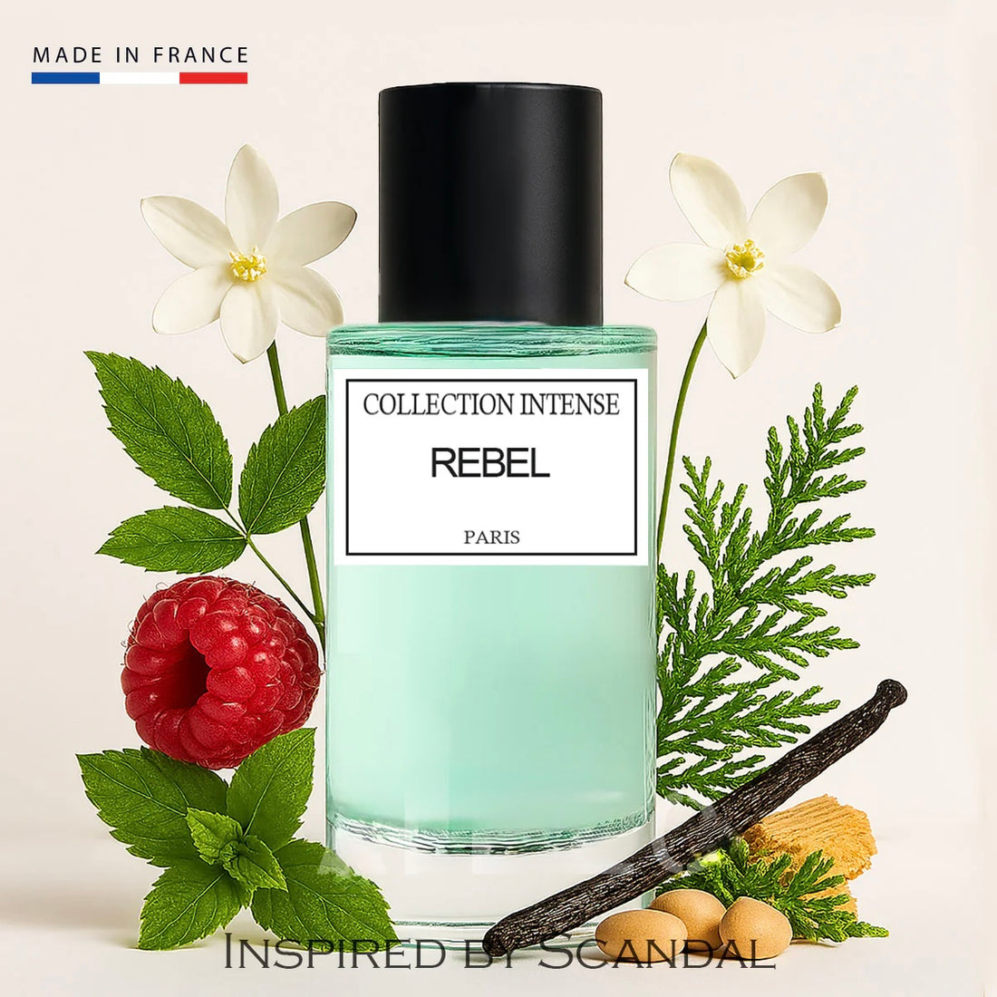 Parfum collection intense - Rebel