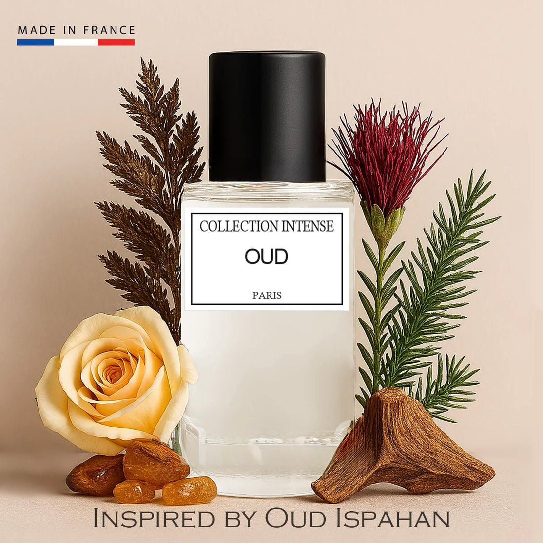 Parfum collection intense - Oud